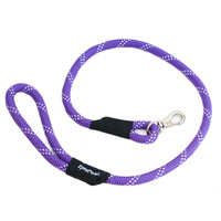 Climbers Dog Leash